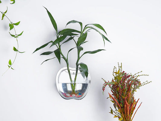 Wall Planter for Home Decor